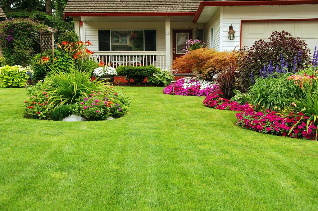 Well Kept Yard With Attractive Landscape Design