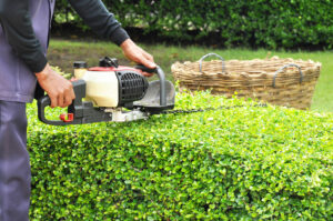 landscaping services maintenance contract